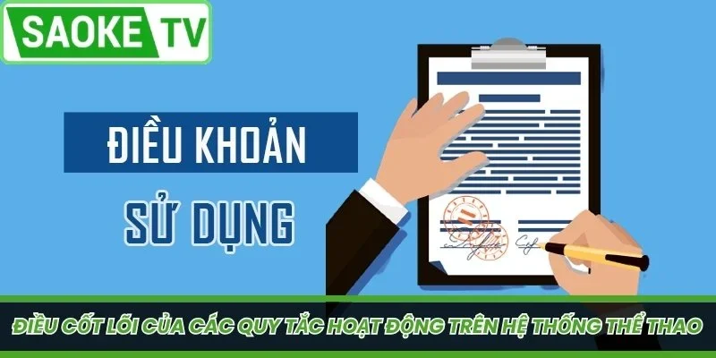 Các điều khoản sử dụng SaoKe TV dành cho mọi khán giả